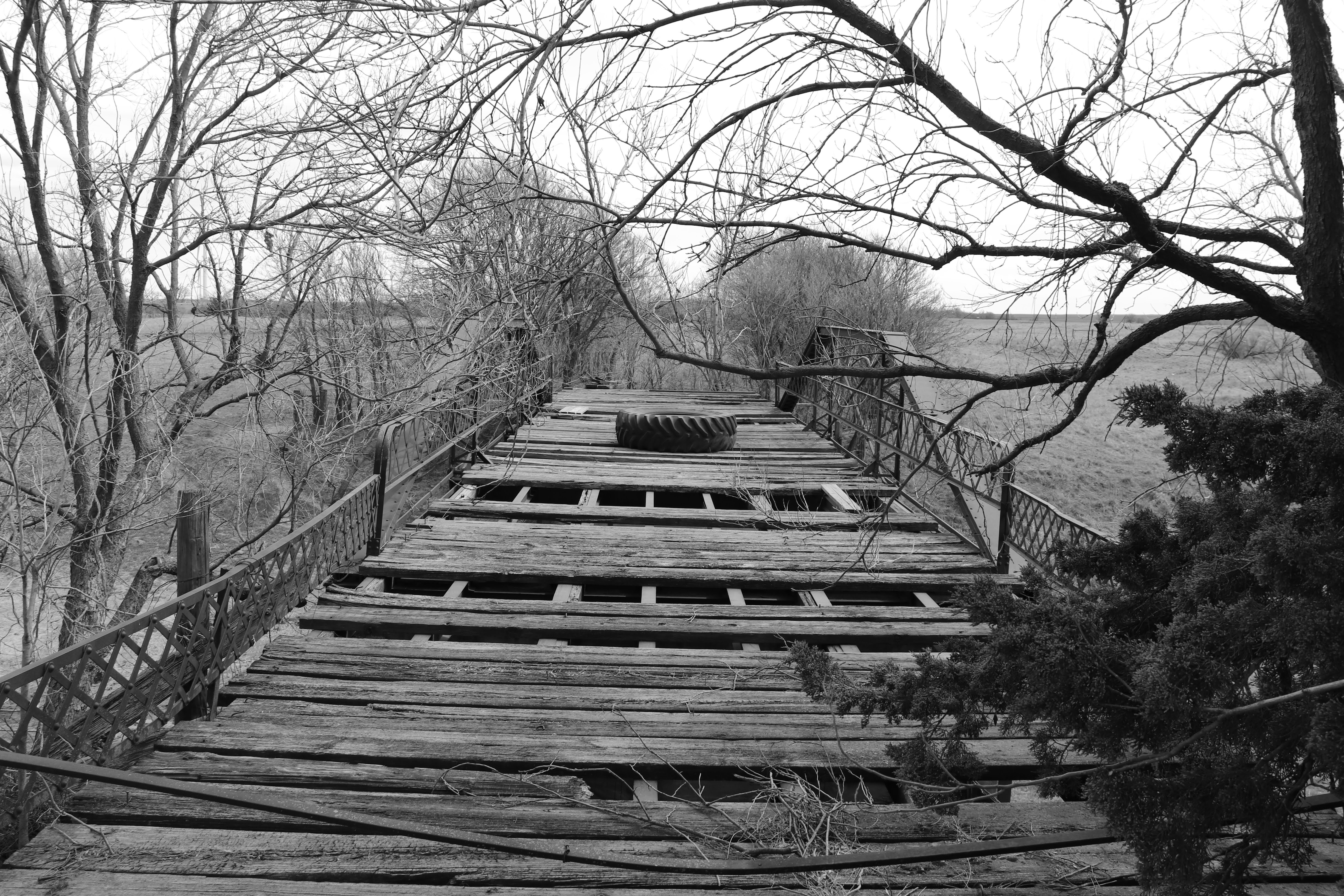 Bridge #14