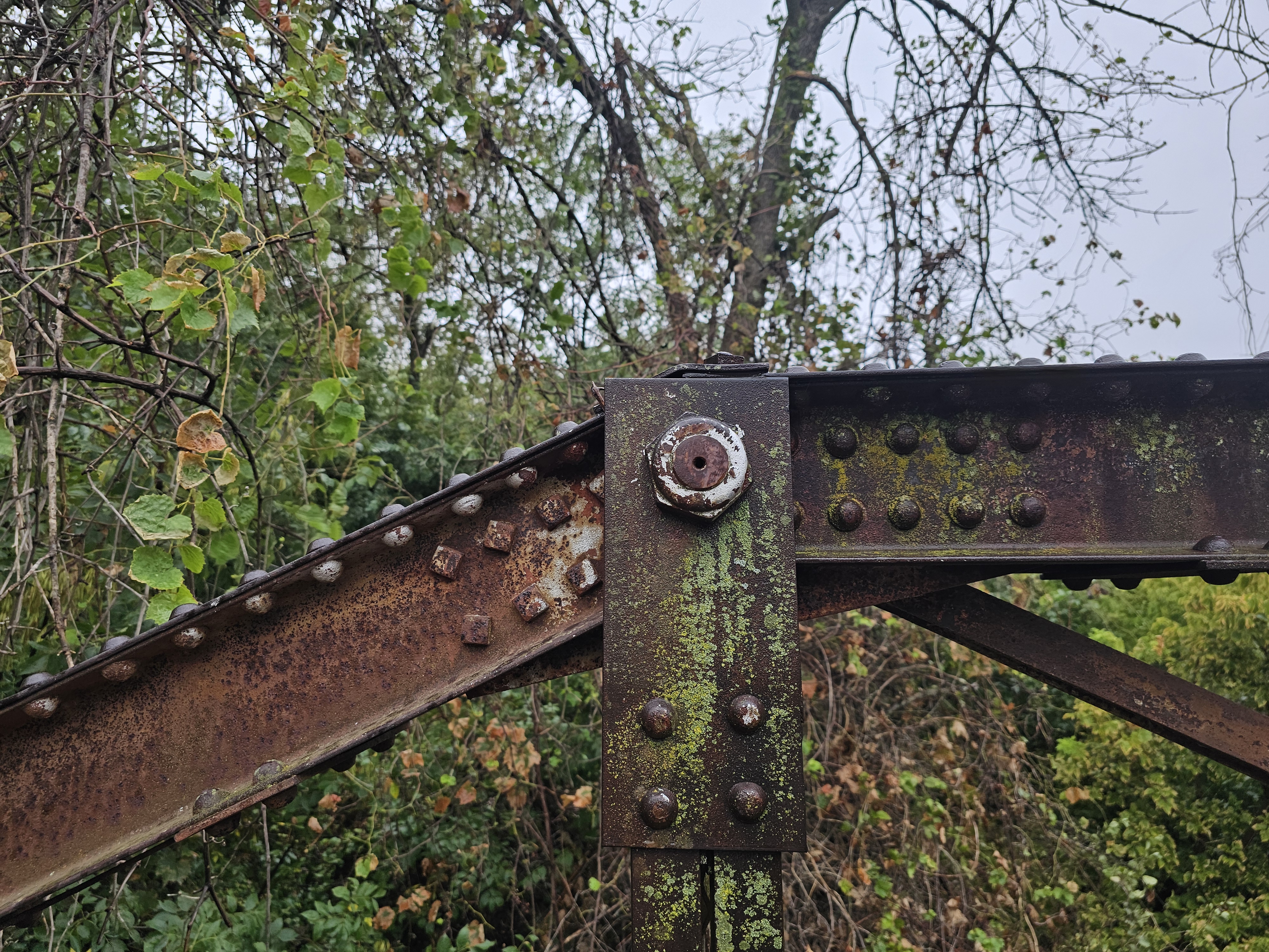 Bridge #29