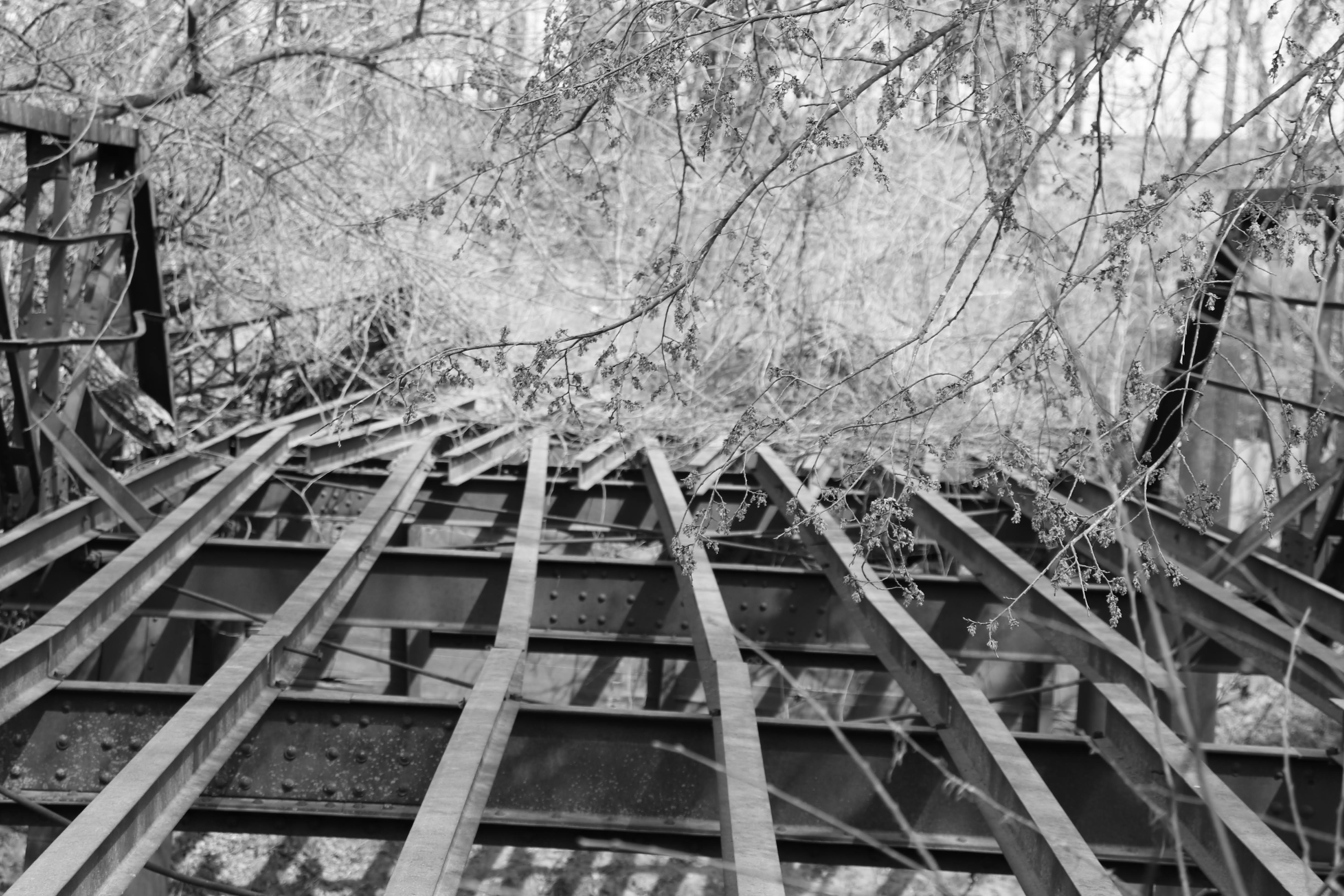 Bridge #19