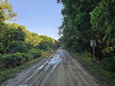 Bridge #103
