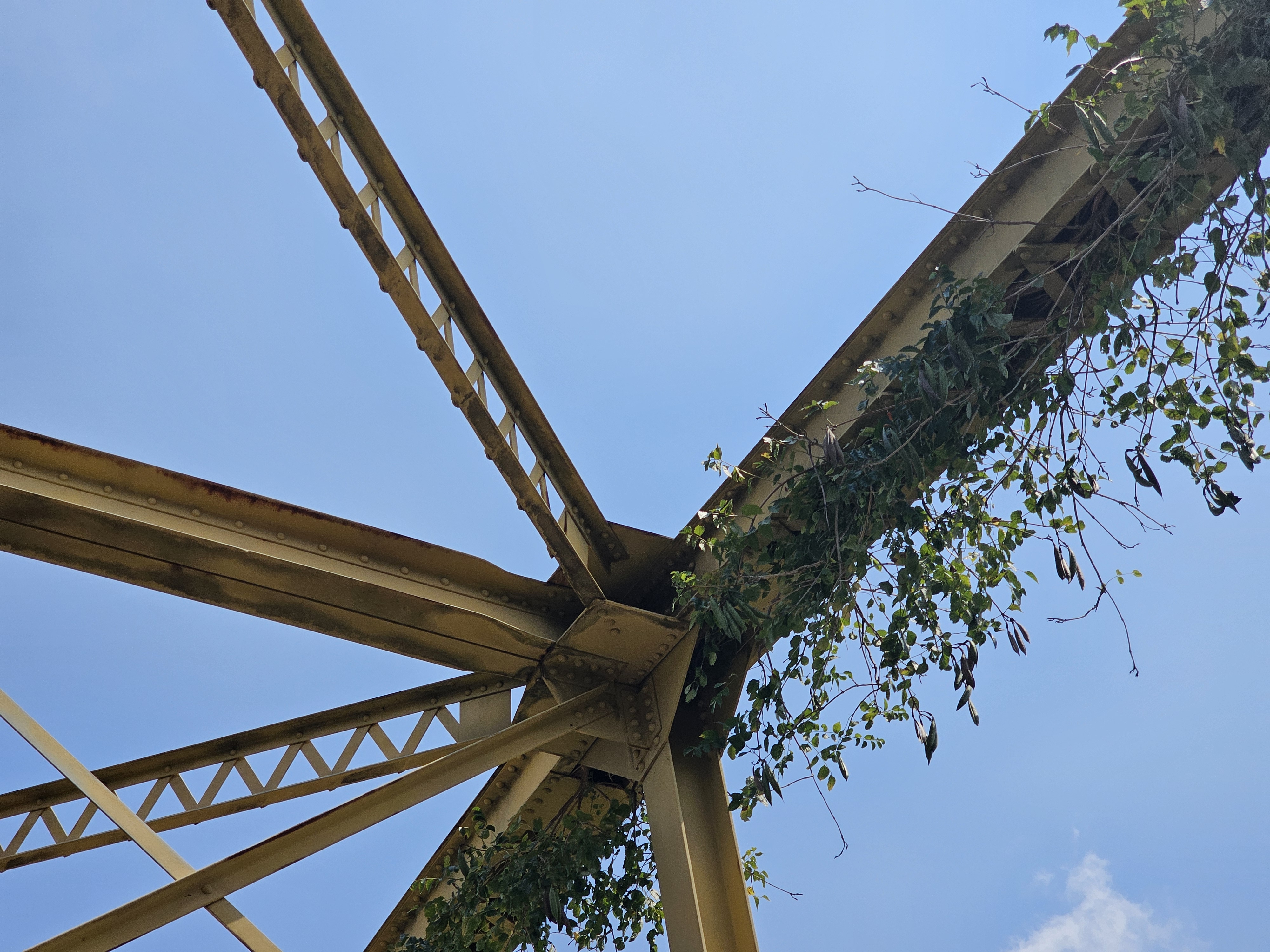 Bridge #121